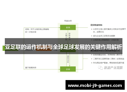 亚足联的运作机制与全球足球发展的关键作用解析